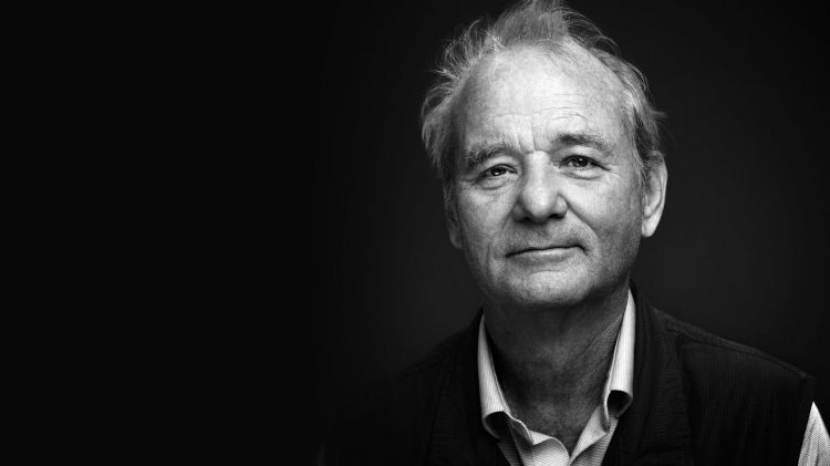 Fonds d'cran Clbrits Homme Bill Murray Wallpaper N412977