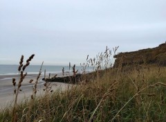  Nature Plage de la Manche