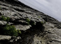  Nature le de Groix - Pointe des Chats