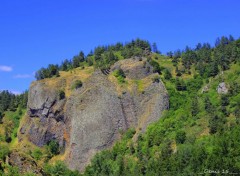  Nature AUVERGNE-HAUTE LOIRE