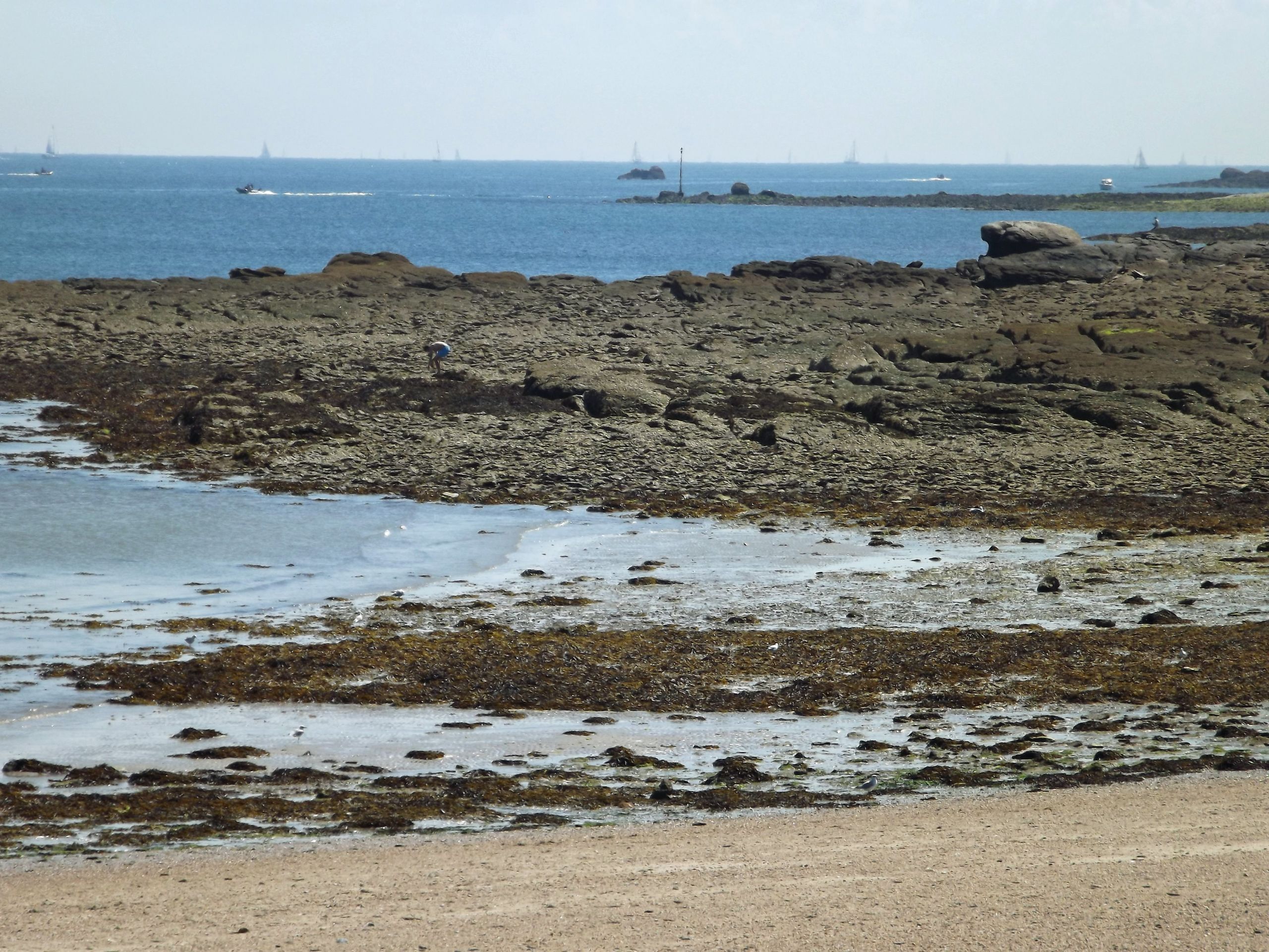 Wallpapers Nature Seas - Oceans - Beaches Quiberon