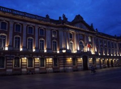  Constructions and architecture Toulouse doit à la prévalence de la brique le surnom de« Ville rose ». 