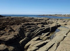  Nature Quiberon