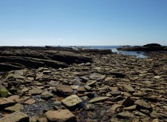  Nature Quiberon