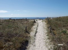  Nature Quiberon