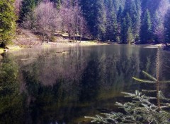  Nature Etang des Vosges