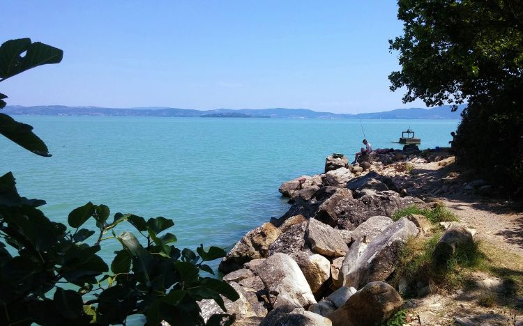 Fonds d'cran Nature Lacs - Etangs Lago Trasimeno