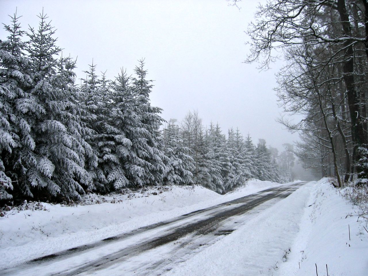 Wallpapers Nature Saisons - Winter route traversant une forêt enneigée