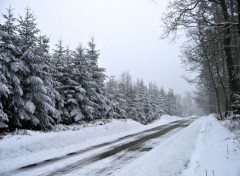  Nature route traversant une forêt enneigée
