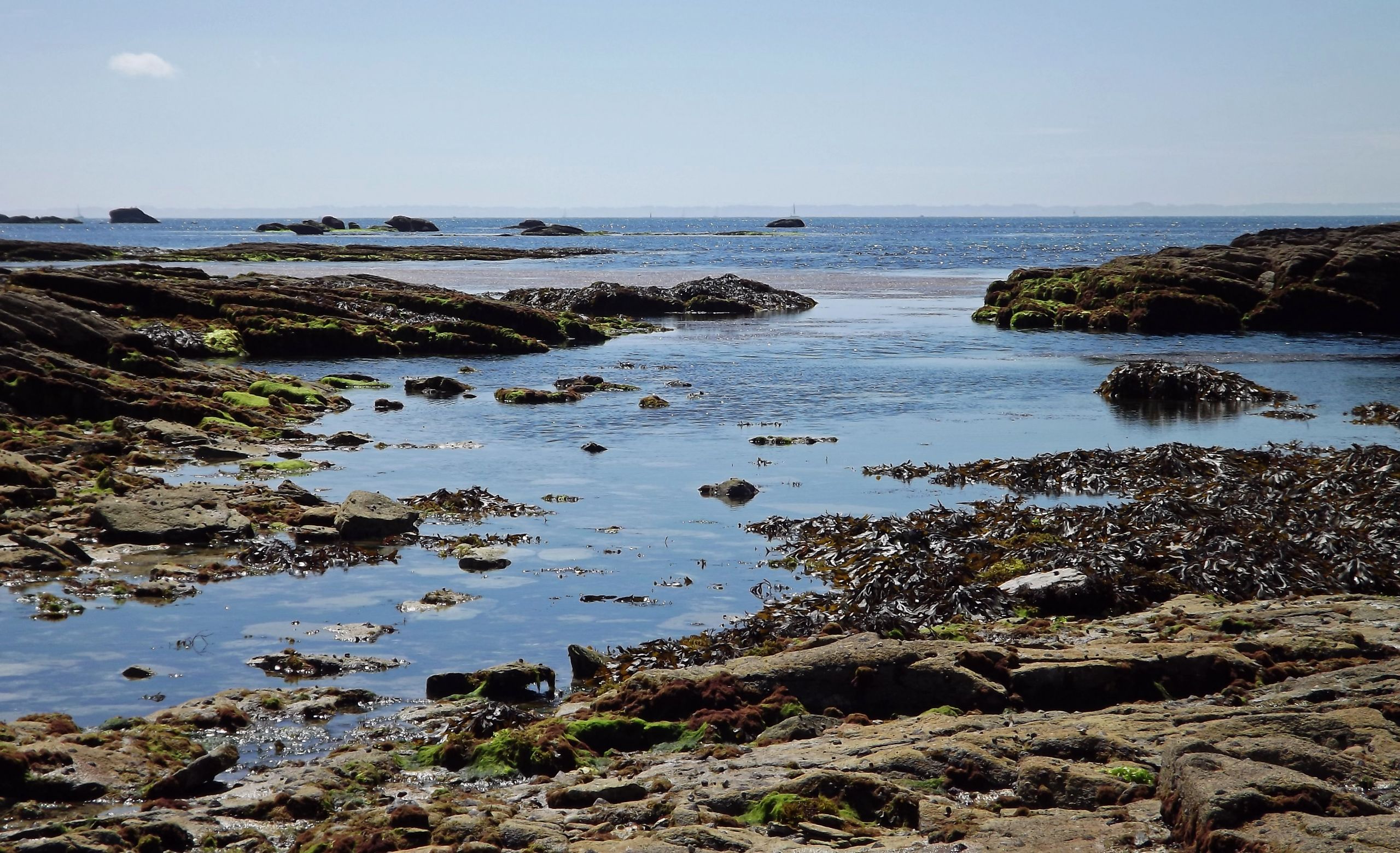 Wallpapers Nature Seas - Oceans - Beaches presqu'île de Quiberon