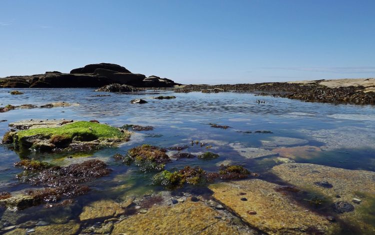 Wallpapers Nature Seas - Oceans - Beaches presqu'île de Quiberon