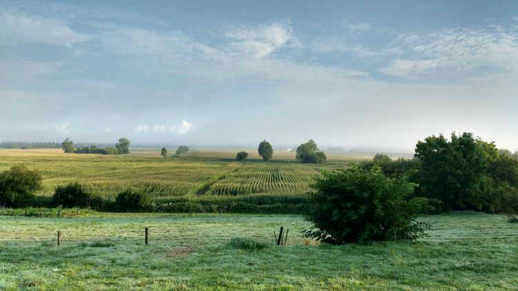 Wallpapers Nature Campaign Polders autours du Mont Saint Michel