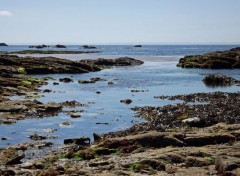  Nature presqu'île de Quiberon