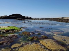  Nature presqu'île de Quiberon