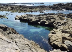  Nature presqu'île de Quiberon