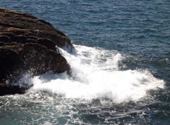  Nature presqu'île de Quiberon