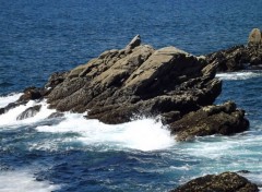  Nature presqu'île de Quiberon