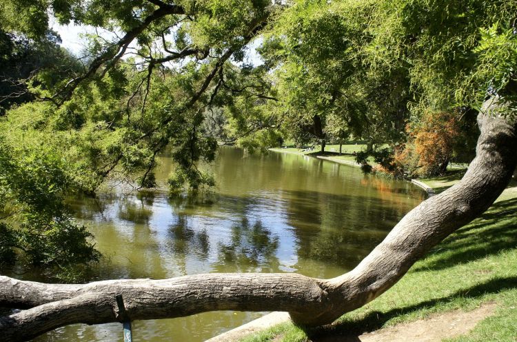 Fonds d'cran Nature Parcs - Jardins Une belle Balade  photos !