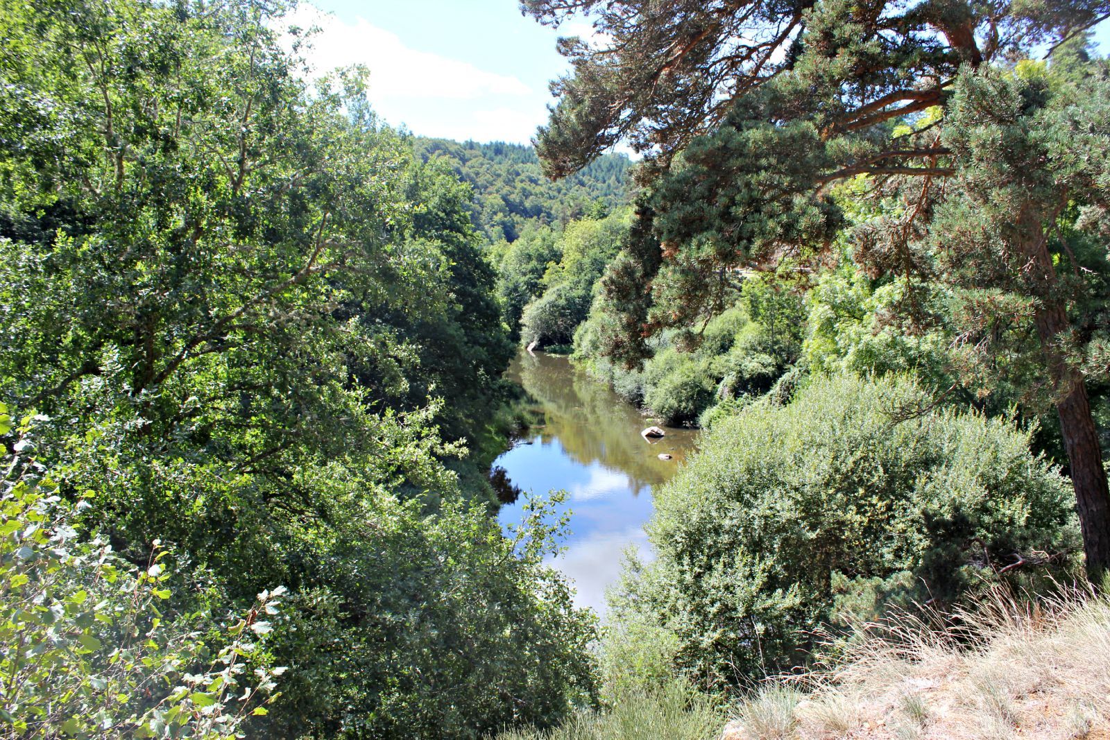 Fonds d'cran Nature Arbres - Forts le bout du monde a cote de st flour