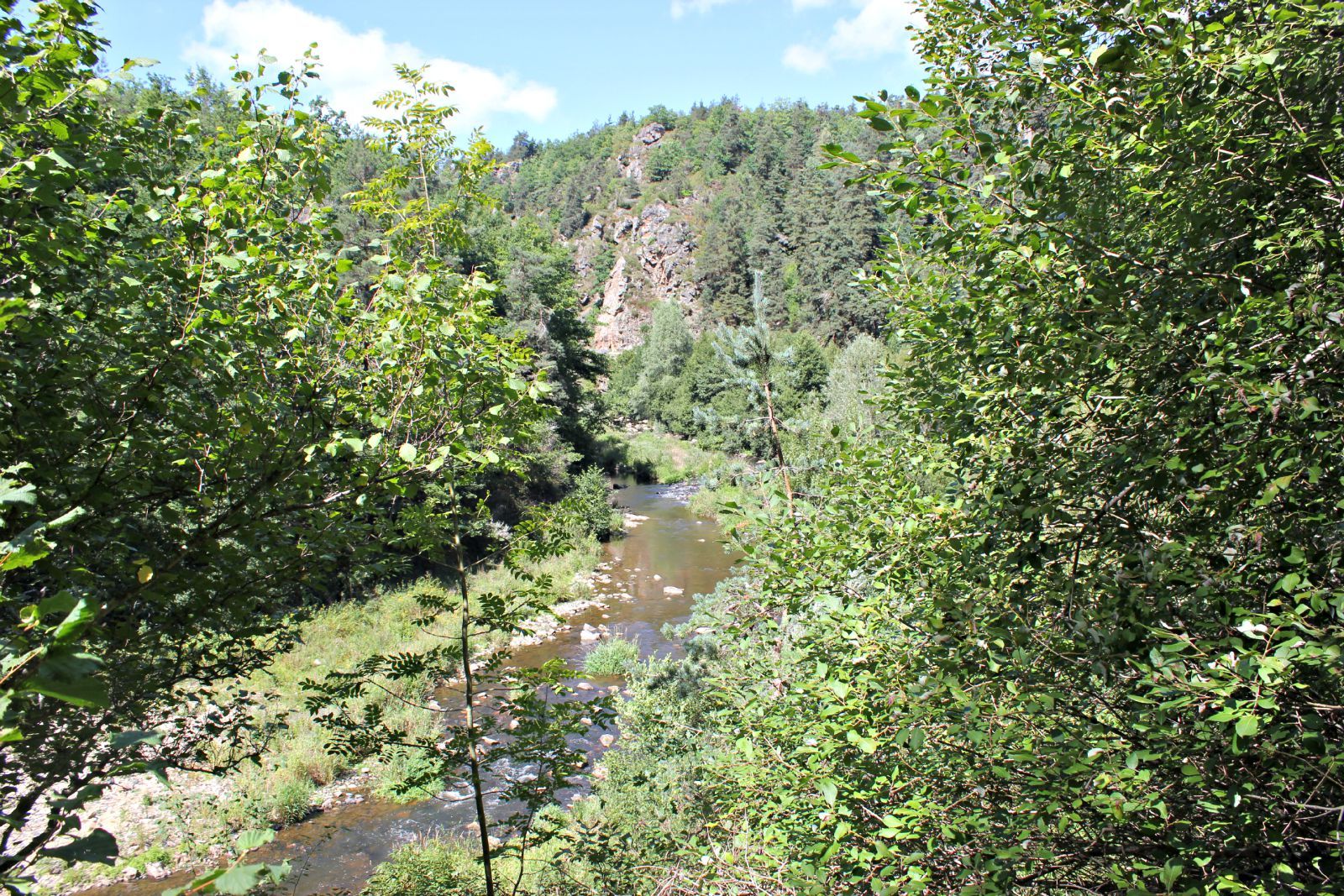 Fonds d'cran Nature Arbres - Forts 