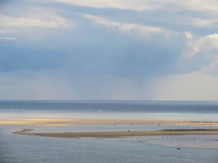 Fonds d'cran Nature Mers - Ocans - Plages Bassin d'arcachon