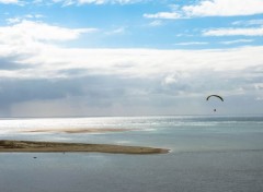  Nature Bassin d'arcachon