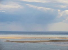  Nature Bassin d'arcachon