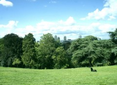  Nature Les buttes Chaumont  Paris 