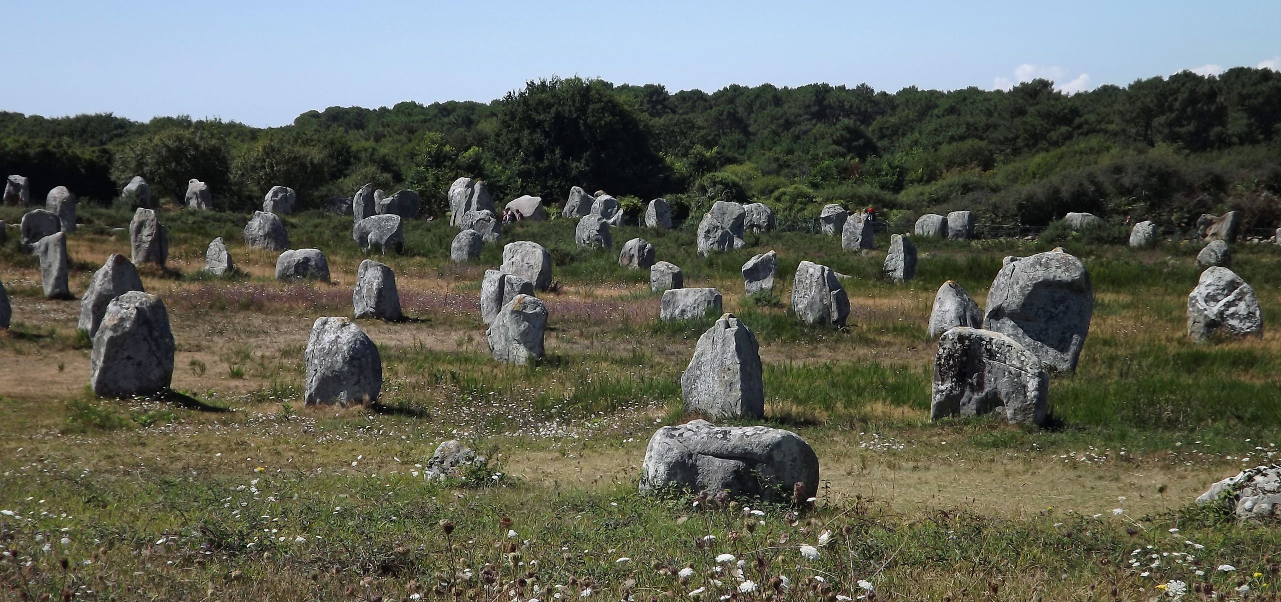 Wallpapers Constructions and architecture Statues - Monuments alignements de carnac