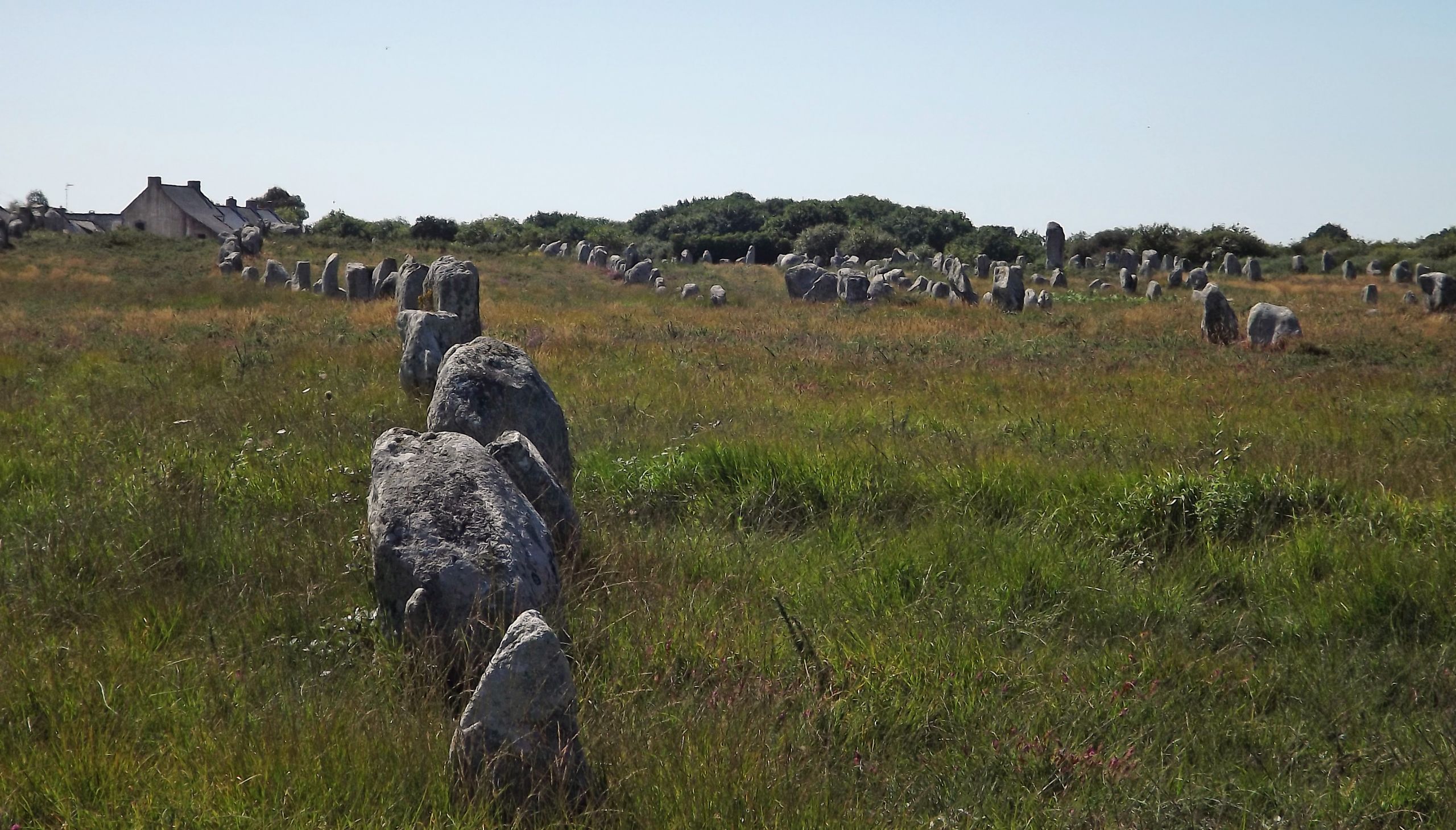 Fonds d'cran Constructions et architecture Statues - Monuments alignements de carnac