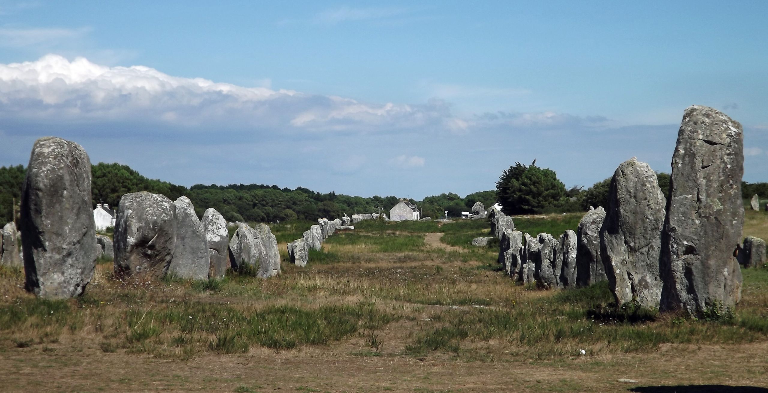 Fonds d'cran Constructions et architecture Statues - Monuments alignements de carnac