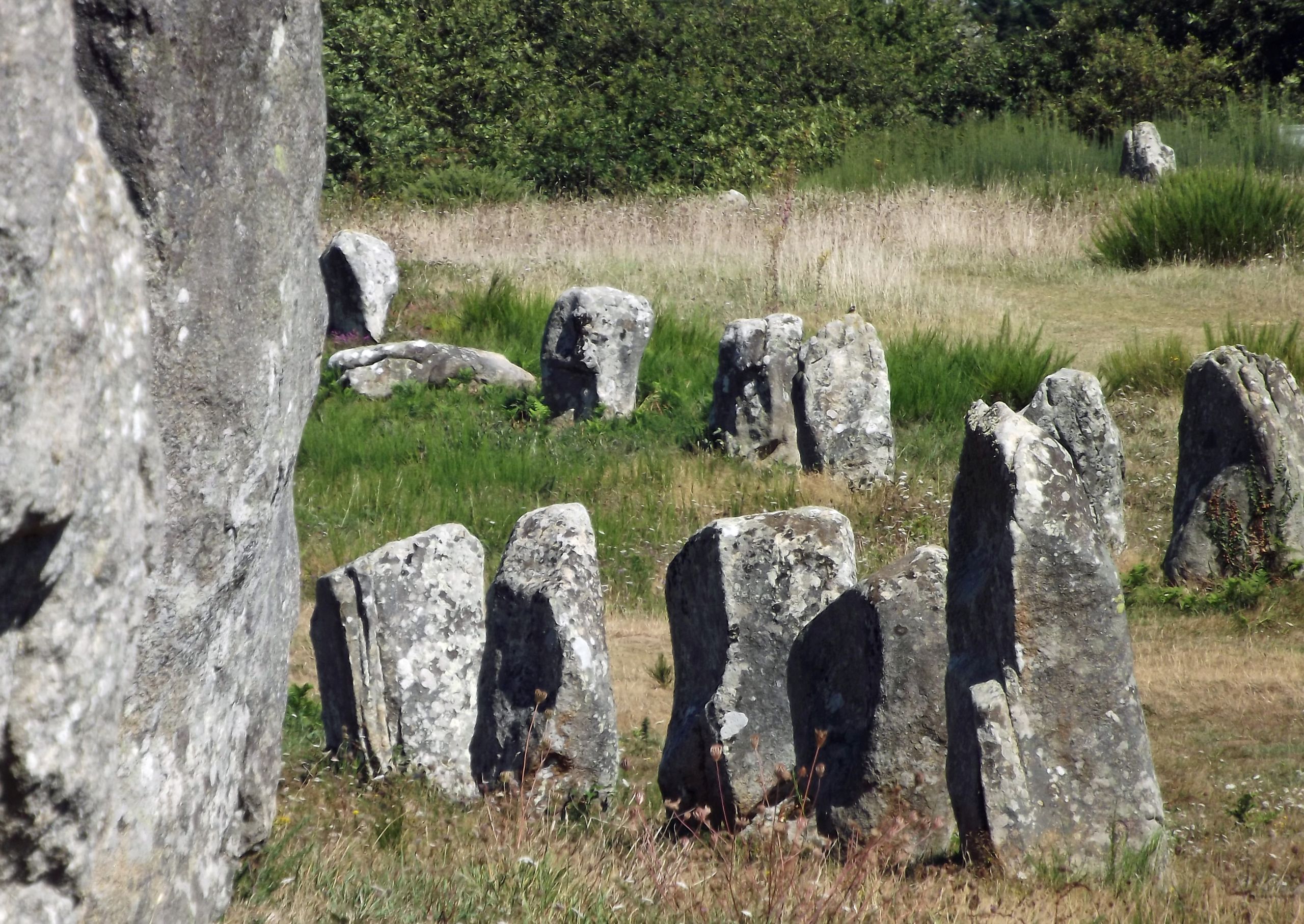 Fonds d'cran Constructions et architecture Statues - Monuments alignements de carnac