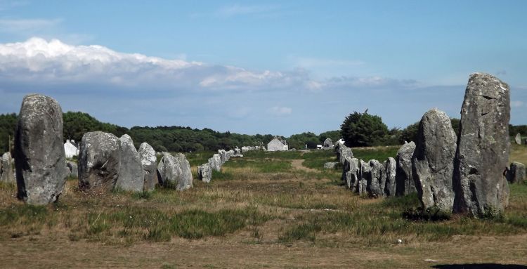 Fonds d'cran Constructions et architecture Statues - Monuments alignements de carnac