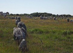  Constructions et architecture alignements de carnac