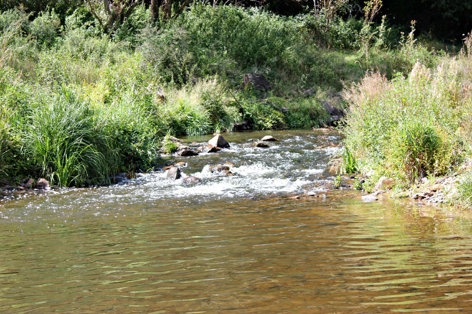 Fonds d'cran Nature Fleuves - Rivires - Torrents 