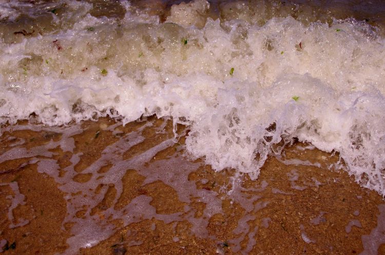 Fonds d'cran Nature Mers - Ocans - Plages l'écume des vagues