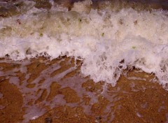  Nature l'écume des vagues