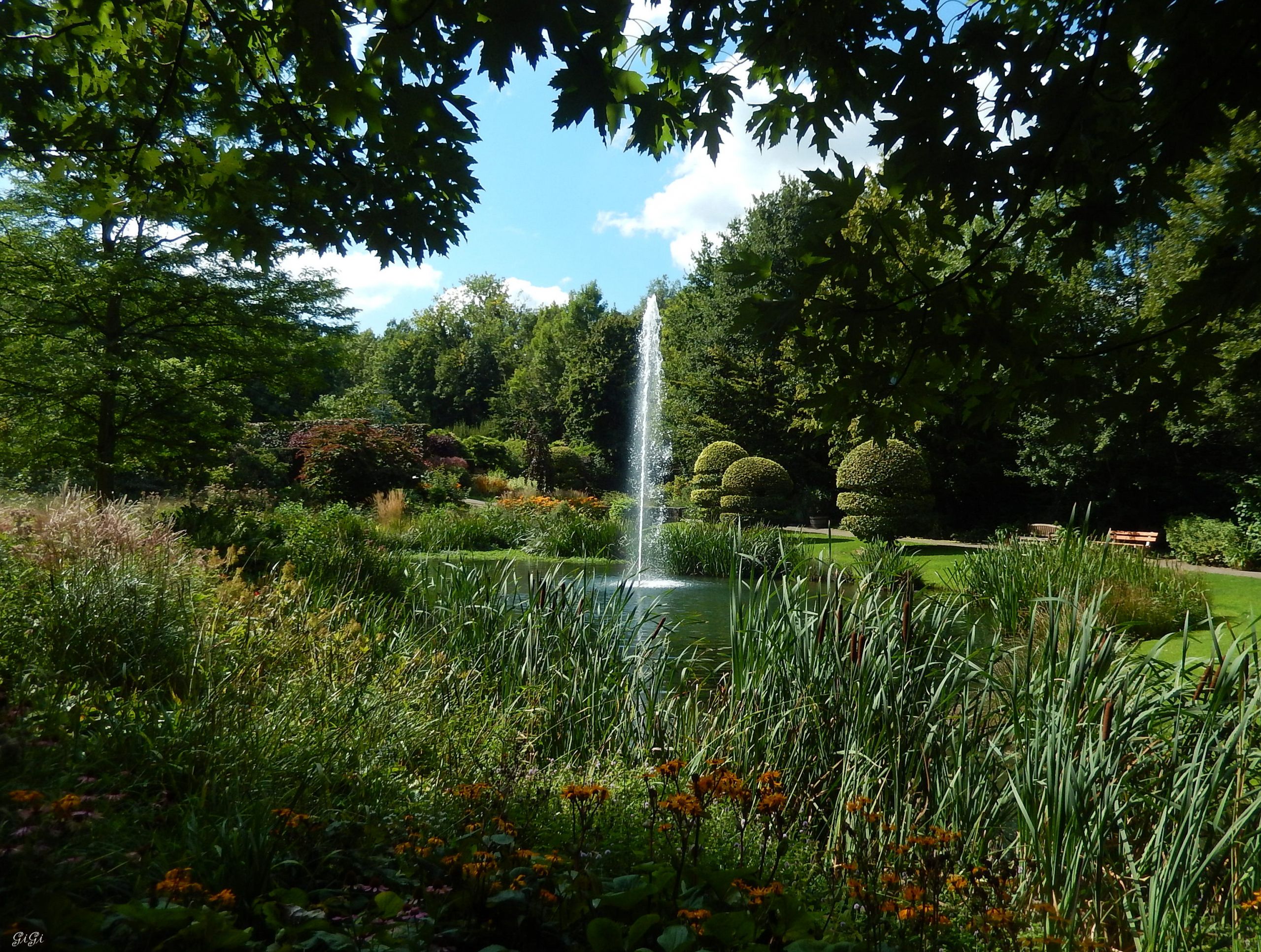 Fonds d'cran Nature Parcs - Jardins Jardin anglais