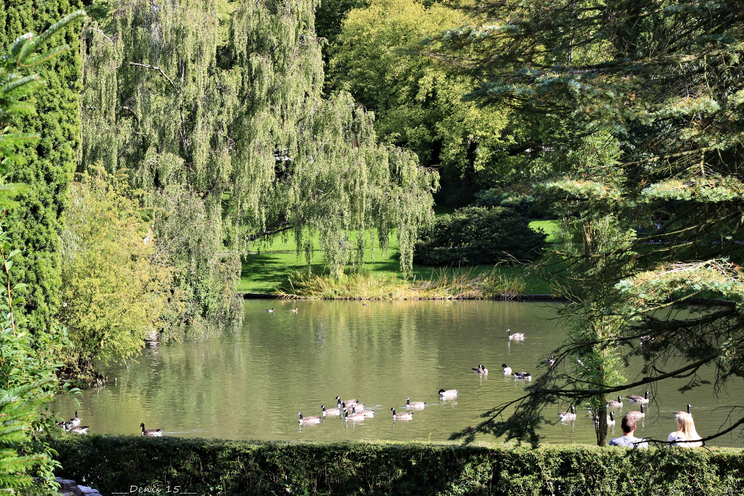 Wallpapers Nature Parks - Gardens PARC BARBIEUX