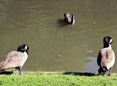  Animals PARC BARBIEUX