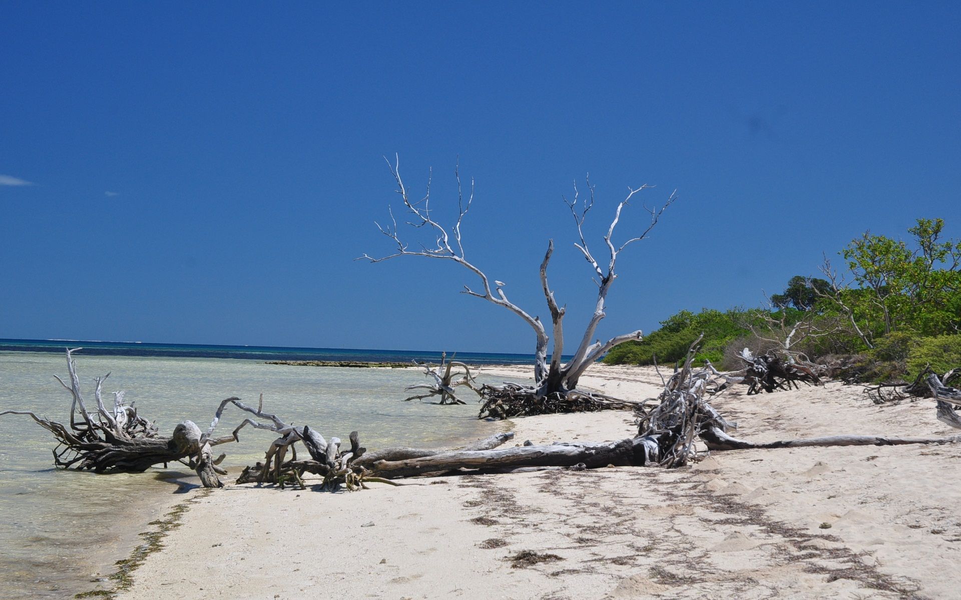 Fonds d'cran Nature Mers - Ocans - Plages 