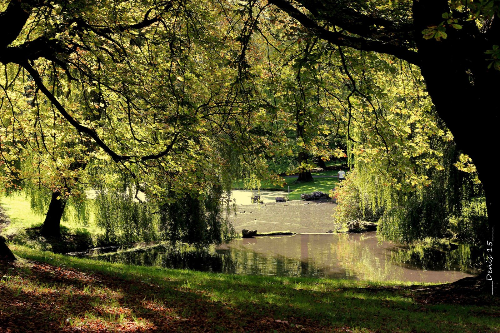 Fonds d'cran Nature Parcs - Jardins PARC BARBIEUX