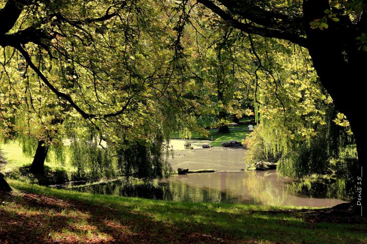 Fonds d'cran Nature Parcs - Jardins PARC BARBIEUX