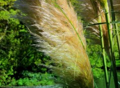  Nature PARC BARBIEUX