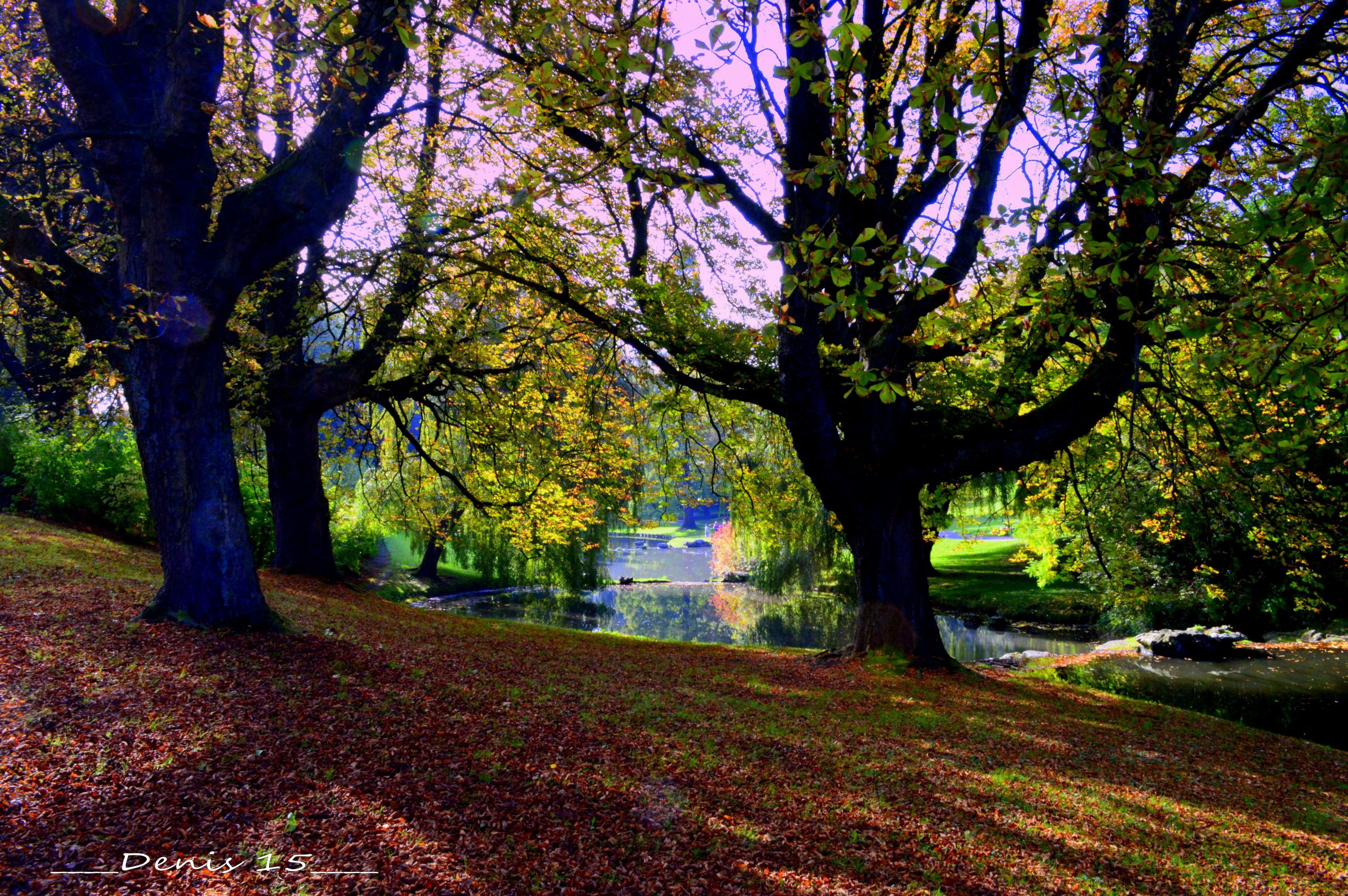 Fonds d'cran Nature Parcs - Jardins PARC BARBIEUX