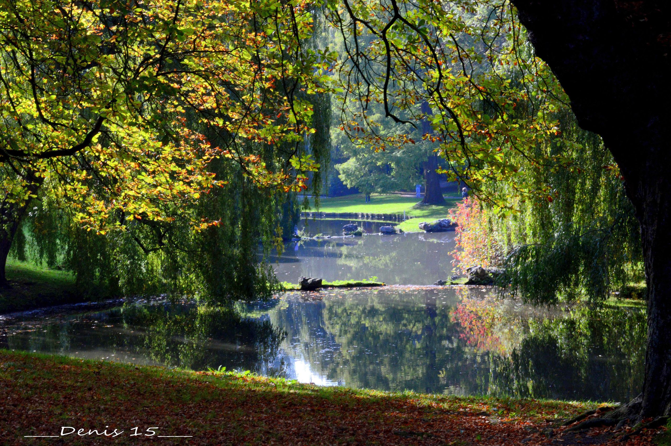 Fonds d'cran Nature Parcs - Jardins PARC BARBIEUX