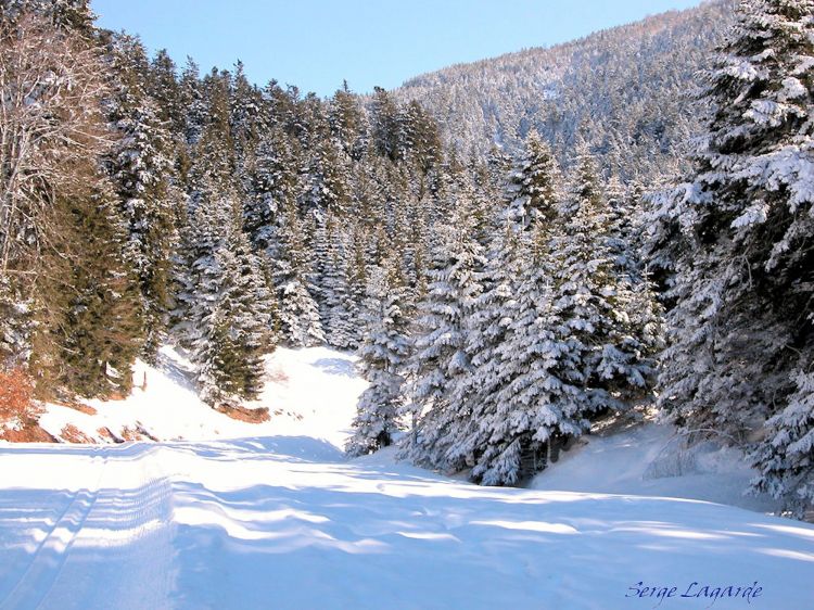 Wallpapers Nature Mountains autrans sous la neige