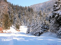  Nature autrans sous la neige