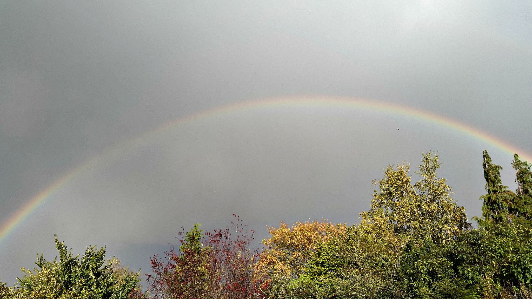 Fonds d'cran Nature Arcs-en-ciel Arc en ciel