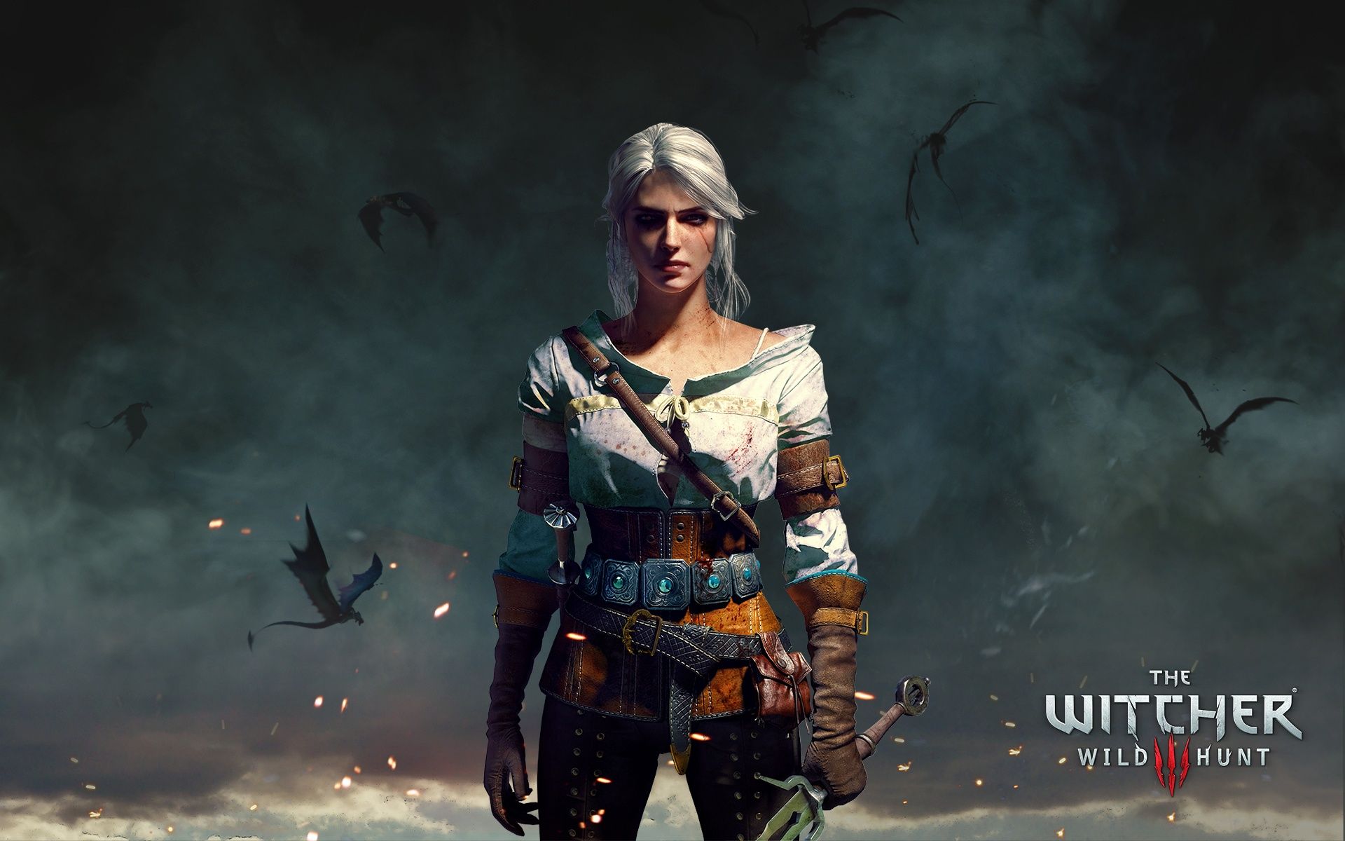 Wallpapers Video Games The Witcher 3 